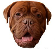 justagirlthatlovessweettea